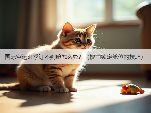 国际空运旺季订不到舱怎么办?(提前锁定舱位的技巧)(图3) 国际空运旺季订不到舱怎么办?(提前锁定舱位的技巧)(图3)