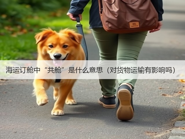 海运订舱中“共舱”是什么意思(对货物运输有影响吗)(图3) 海运订舱中“共舱”是什么意思(对货物运输有影响吗)(图3)
