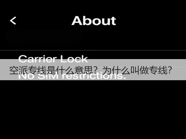 空派专线是什么意思?为什么叫做专线?(图1) 空派专线是什么意思?为什么叫做专线?(图1)