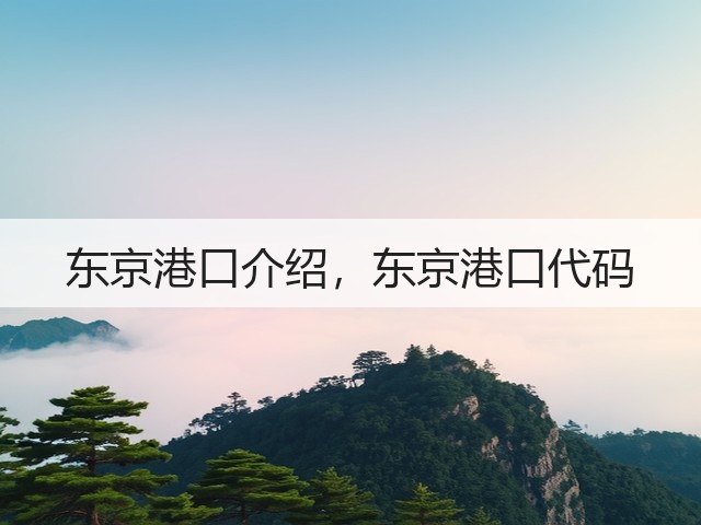 东京港口介绍，东京港口代码(图3)