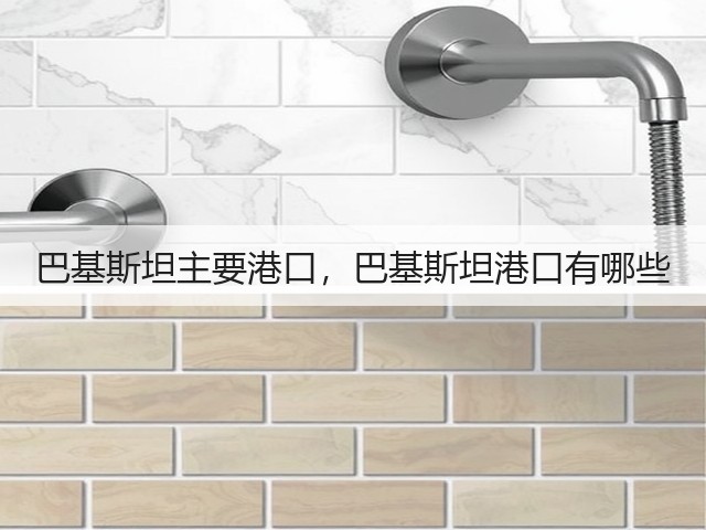 巴基斯坦主要港口，巴基斯坦港口有哪些(图2)