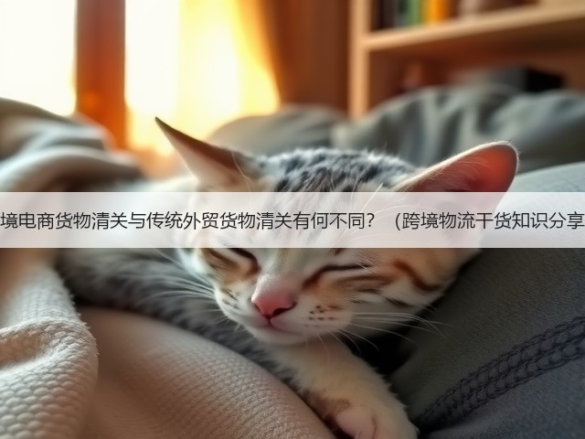 跨境电商货物清关与传统外贸货物清关有何不同？（跨境物流干货知识分享）(图2)