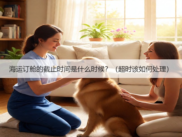 海运订舱的截止时间是什么时候？（超时该如何处理）(图3)