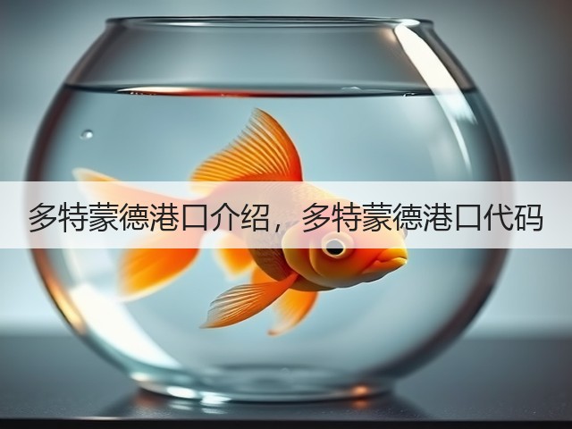 多特蒙德港口介绍，多特蒙德港口代码(图1)