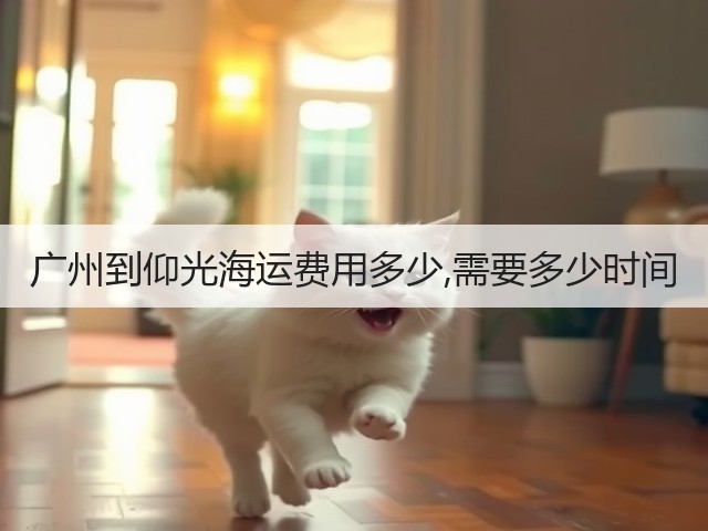 广州到仰光海运费用多少,需要多少时间(图3)
