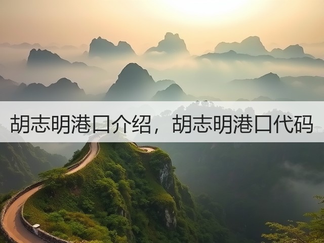 胡志明港口介绍，胡志明港口代码(图3)