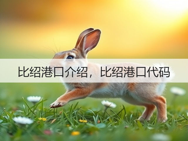 比绍港口介绍,比绍港口代码(图1) 比绍港口介绍,比绍港口代码(图1)