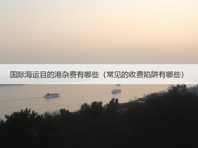 国际海运目的港杂费有哪些(常见的收费陷阱有哪些)(图3) 国际海运目的港杂费有哪些(常见的收费陷阱有哪些)(图3)