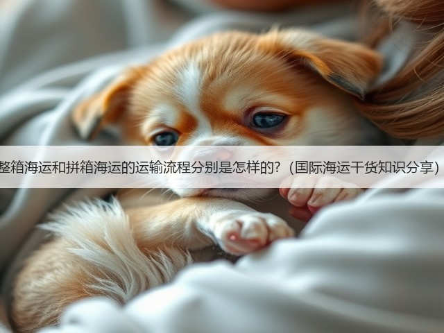 整箱海运和拼箱海运的运输流程分别是怎样的?（国际海运干货知识分享）(图3)