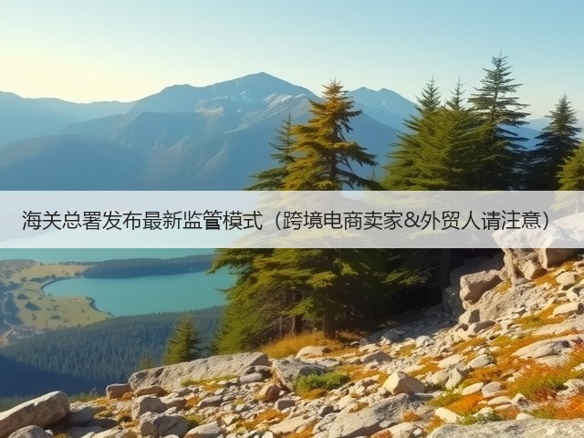 海关总署发布最新监管模式（跨境电商卖家&外贸人请注意）(图1)